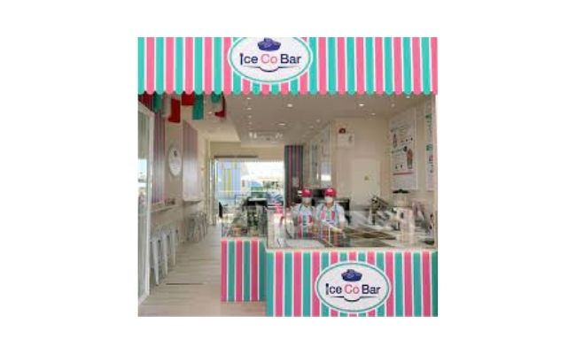 franquicia icecobar 1