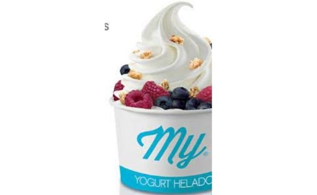 franquicia my yogurt 2