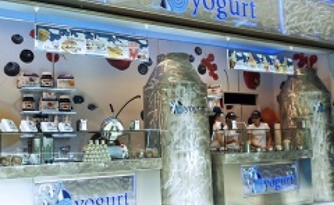 franquicia yoyogurt 2