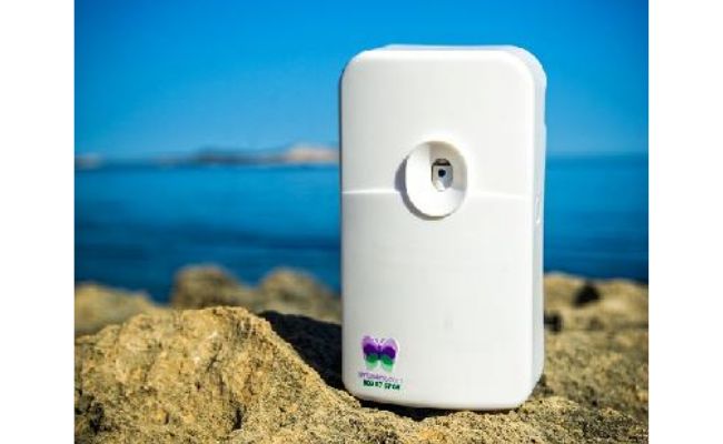 franquicia ambiseint 2