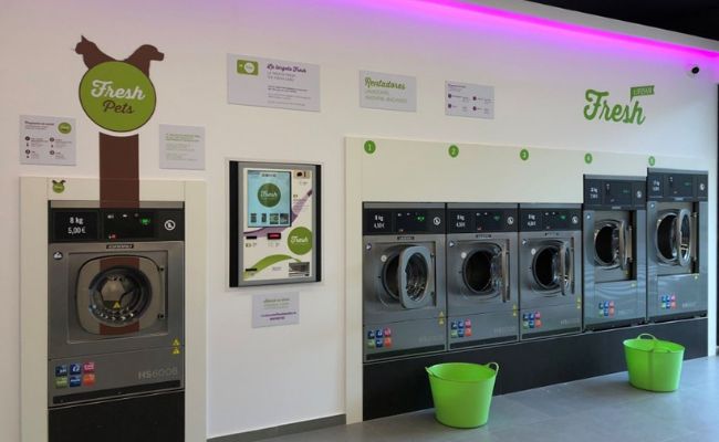 franquicia fresh laundry 3