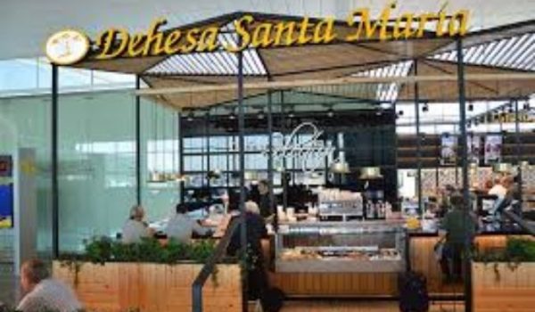 franquicia santamaría 2